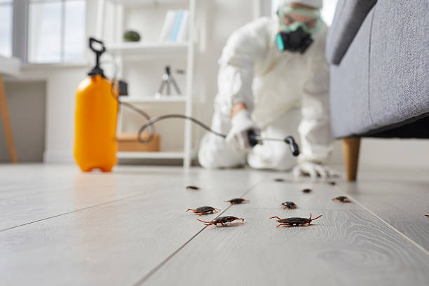 Commercial Rodent Management in Armona